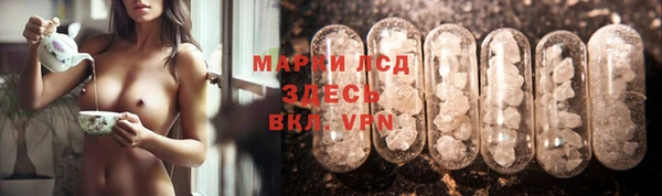 гидра Алексин