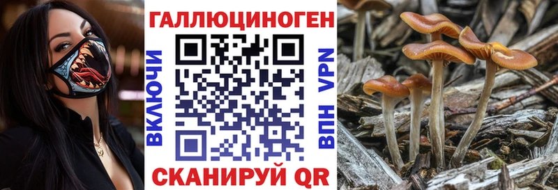 ссылка на мегу маркетплейс  Очёр  Галлюциногенные грибы Psilocybe 